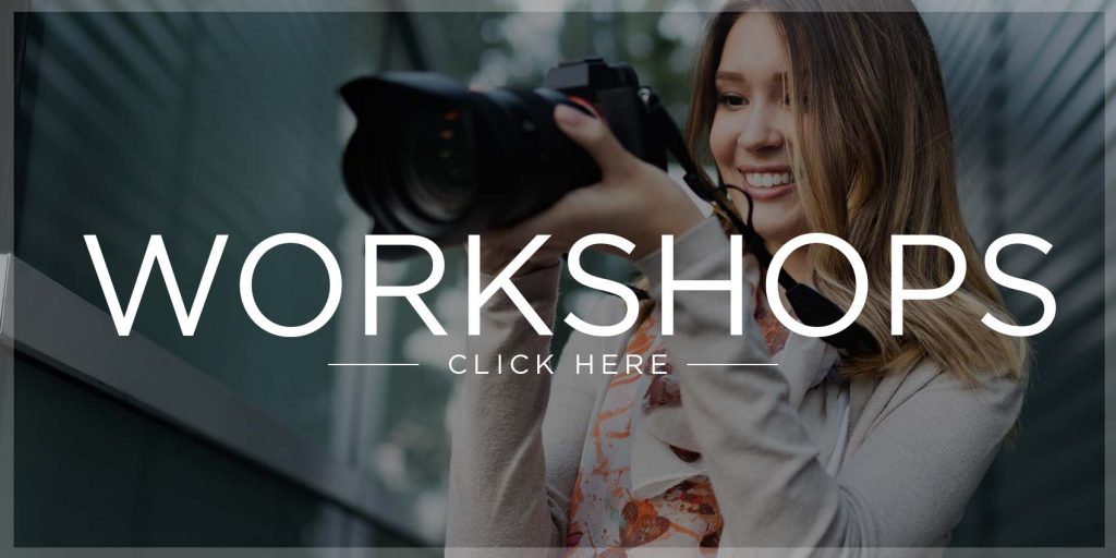 Workshops click here